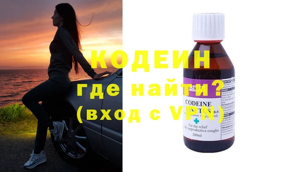 гидра Богородицк
