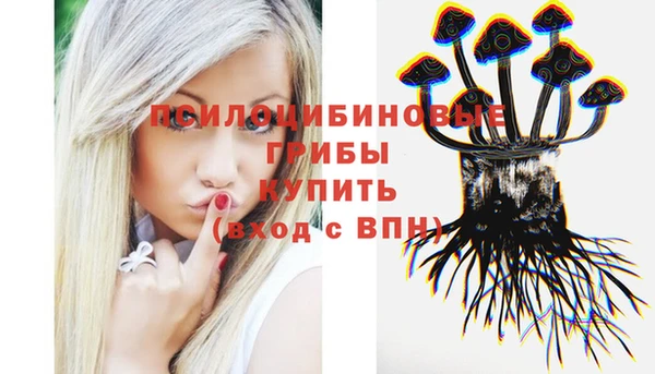 героин Белокуриха
