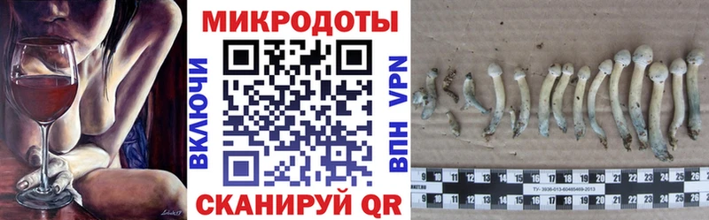 даркнет какой сайт  Челябинск  Галлюциногенные грибы мухоморы 